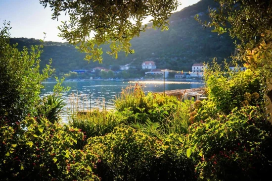 Apartmán Jižní Dalmácie - Luka Dubrava DA 17463 N1