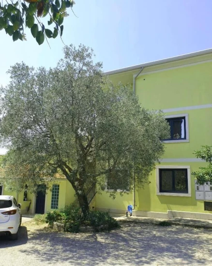 Apartmán Istrie - Rovinj IS 8114 N1