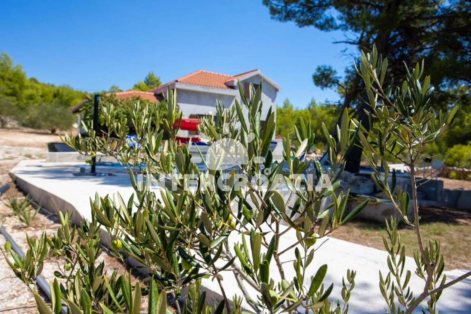 Domek Ostrov Brač OS 12327 N1