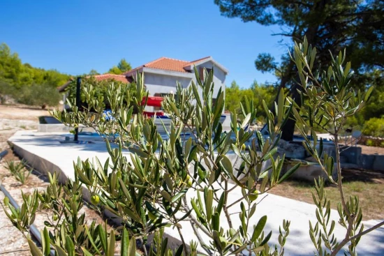 Domek Ostrov Brač OS 12327 N1