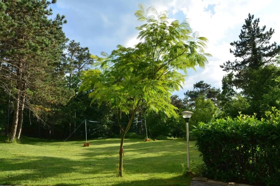 Apartmán Kvarner - Viškovo KV 10335 N1