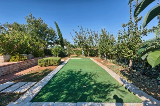 Vila Istrie - Vodnjan (Pula) IS 8115 N1