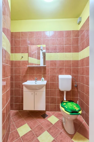 Vila Istrie - Vodnjan (Pula) IS 8115 N1