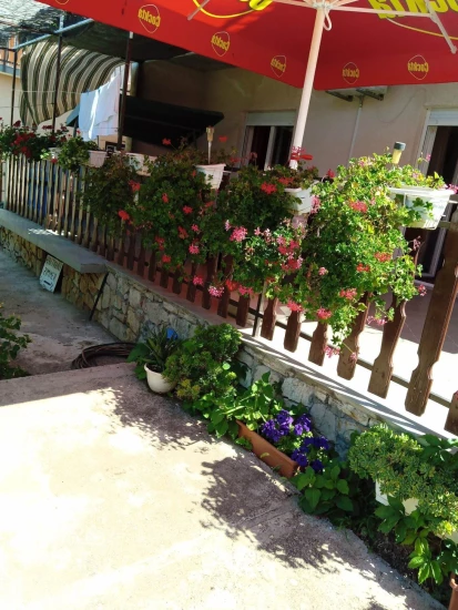 Apartmán Severní Dalmácie - Šibenik DA 17469 N1