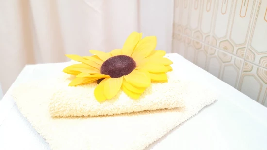 Apartmán Střední Dalmácie - Split DA 17470 N1