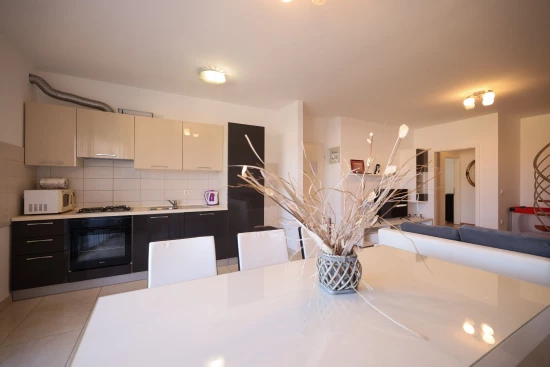 Apartmán Severní Dalmácie - Zaton (Petrčane) DA 17471 N1