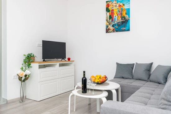 Apartmán Střední Dalmácie - Split DA 17474 N1