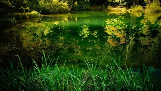 Apartmán Kvarner - Plitvická Jezera KV 10337 N1