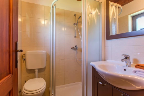 Vila Istrie - Barban IS 8119 N1