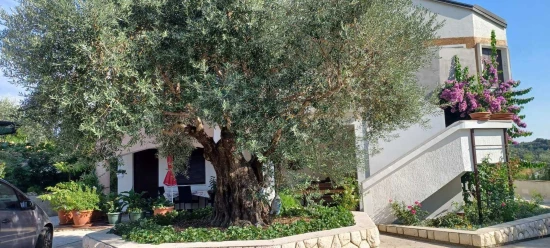 Apartmán Ostrov Rab - Palit OS 12335 N2