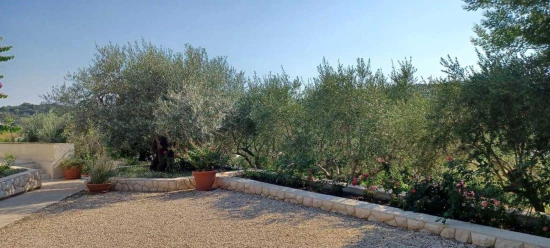 Apartmán Ostrov Rab - Palit OS 12335 N3