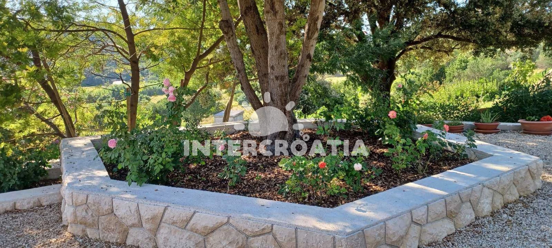 Apartmán Ostrov Rab - Palit OS 12335 N4