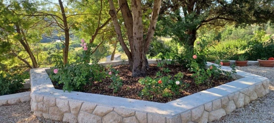 Apartmán Ostrov Rab - Palit OS 12335 N4