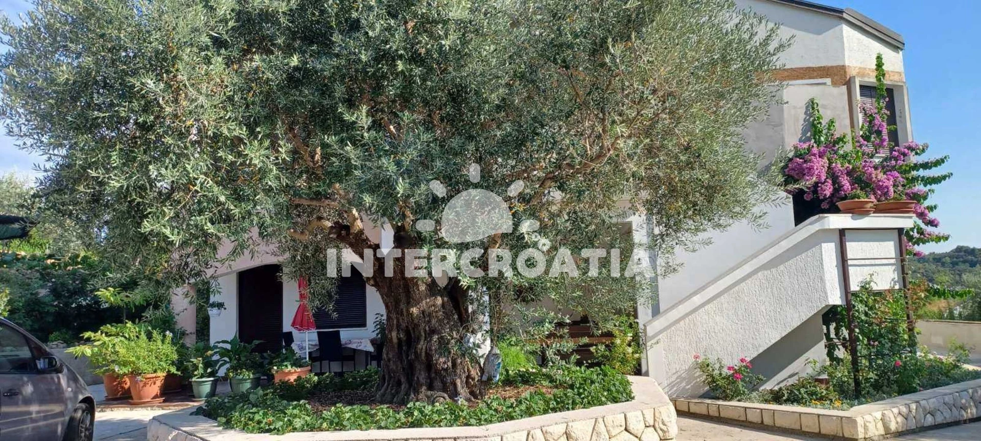 Apartmán Ostrov Rab - Palit OS 12335 N4