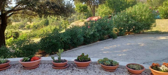 Apartmán Ostrov Rab - Palit OS 12335 N5