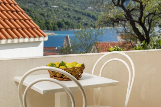 Apartmán Střední Dalmácie - Igrane DA 17478 N9