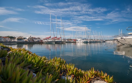 Apartmán Severní Dalmácie - Biograd na Moru DA 17479 N1