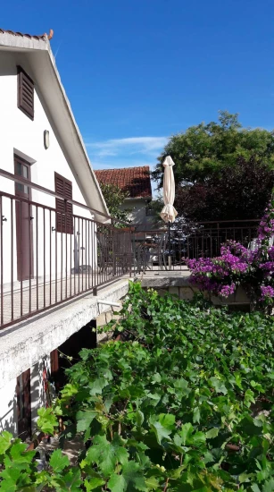 Apartmán Ostrov Hvar - Zastražišće OS 12340 N1