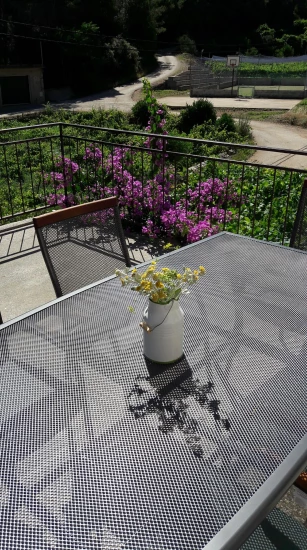 Apartmán Ostrov Hvar - Zastražišće OS 12340 N1