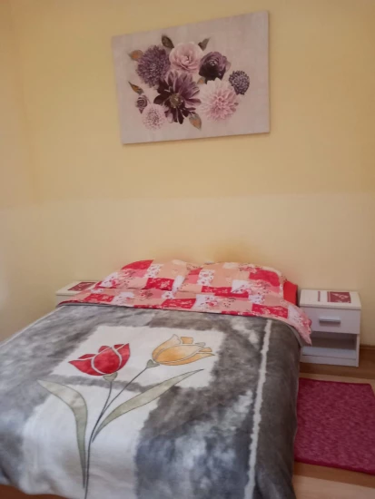 Apartmán Ostrov Vir - Vir OS 12342 N1