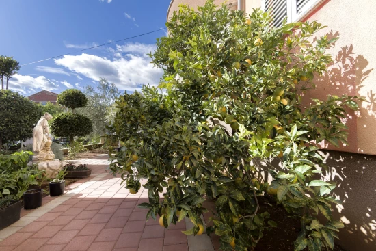 Apartmán Severní Dalmácie - Tribunj (Vodice) DA 17499 N1
