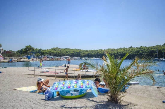 Apartmán Severní Dalmácie - Tribunj (Vodice) DA 17499 N1