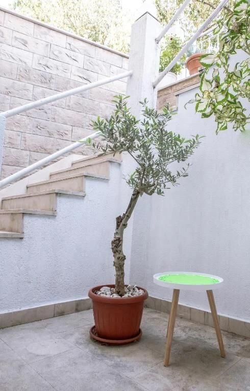 Apartmán Střední Dalmácie - Split DA 17500 N5