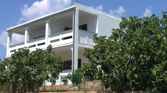 Apartmán Severní Dalmácie - Grebaštica DA 17505 N2