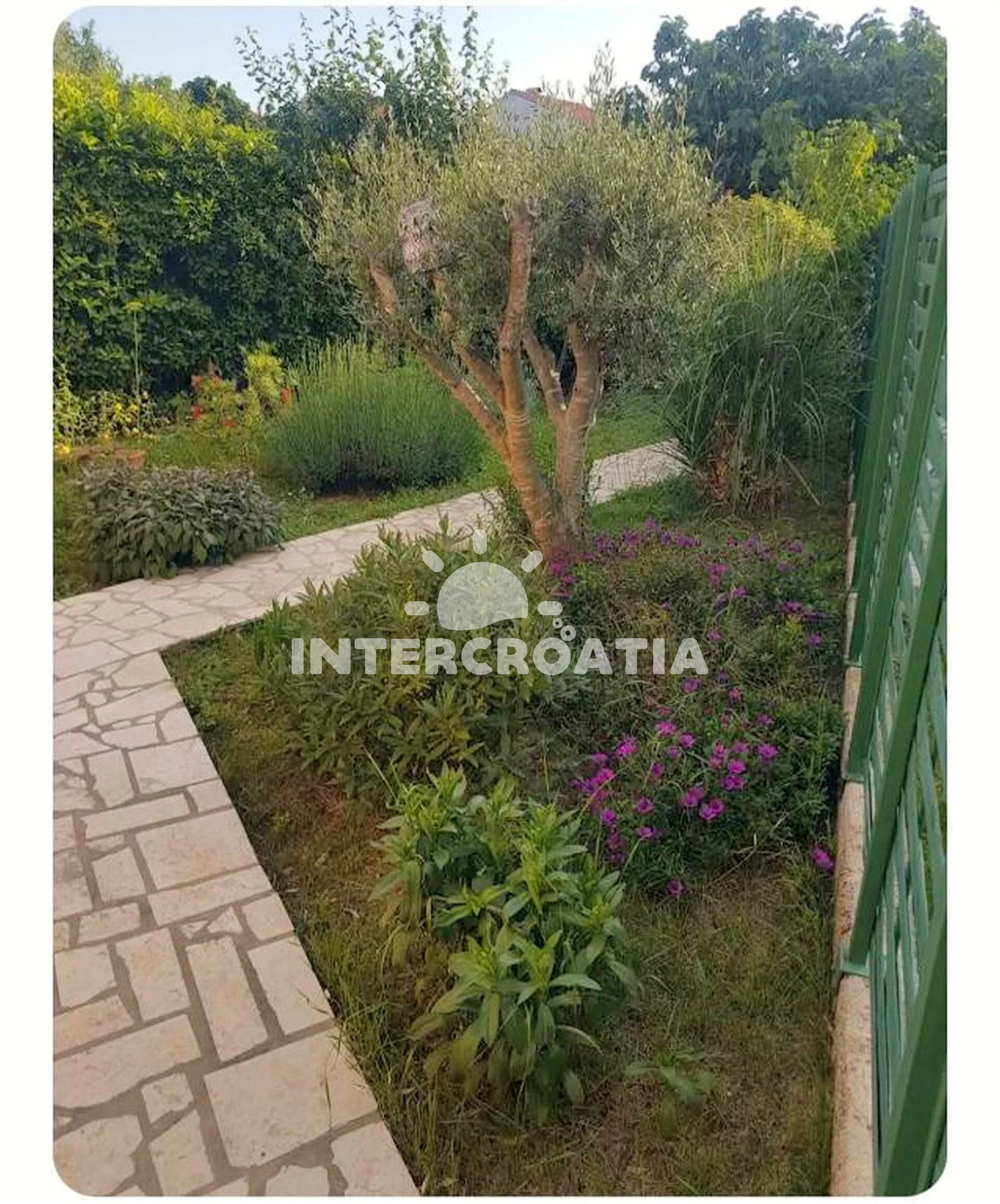 Apartmán Istrie - Štinjan IS 8135 N1