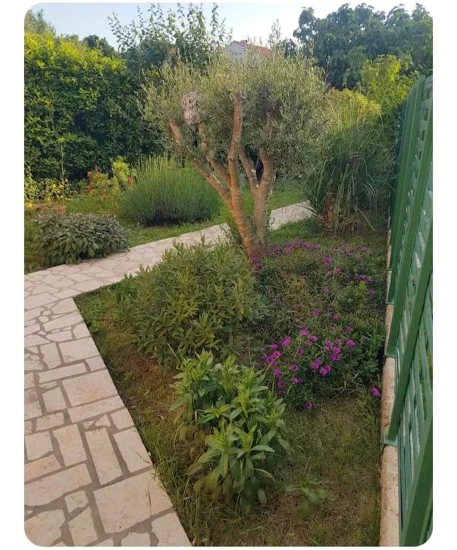 Apartmán Istrie - Štinjan IS 8135 N1