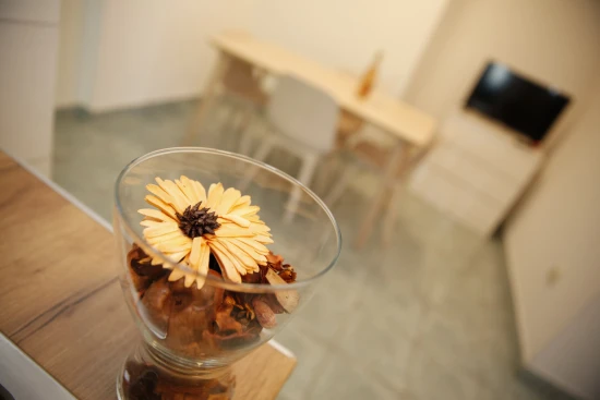 Apartmán Severní Dalmácie - Vodice DA 17518 N1