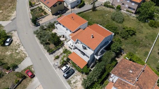 Apartmán Severní Dalmácie - Nin DA 17524 N1