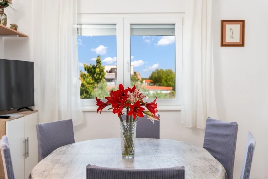 Apartmán Severní Dalmácie - Nin DA 17524 N3