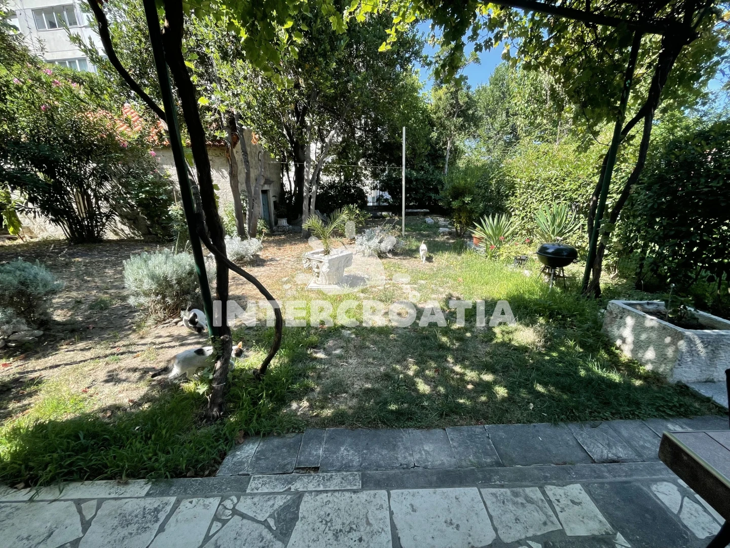 Apartmán Střední Dalmácie - Omiš DA 17524 N3