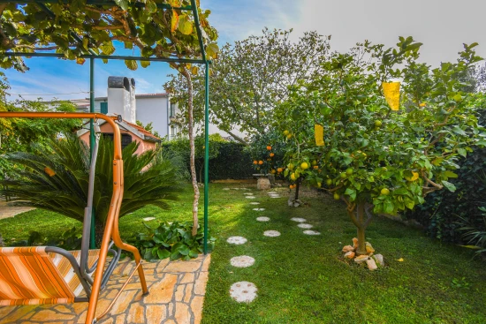 Apartmán Střední Dalmácie - Seget Vranjica DA 17532 N1