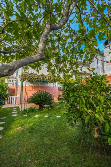 Apartmán Střední Dalmácie - Seget Vranjica DA 17532 N2