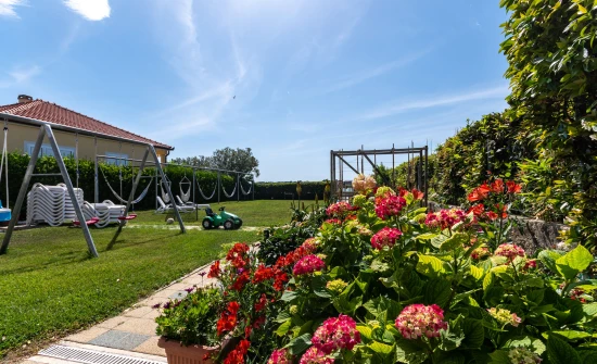 Apartmán Severní Dalmácie - Privlaka DA 17537 N1