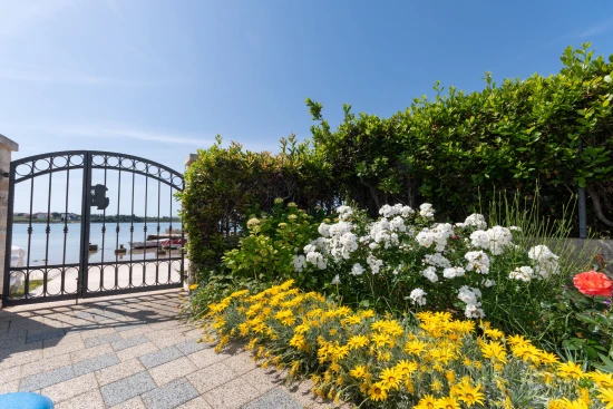 Apartmán Severní Dalmácie - Privlaka DA 17537 N1