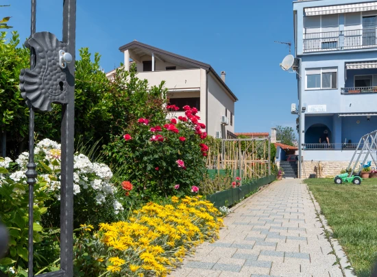 Apartmán Severní Dalmácie - Privlaka DA 17537 N1