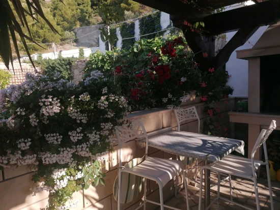 Apartmán Střední Dalmácie - Duće DA 17539 N2
