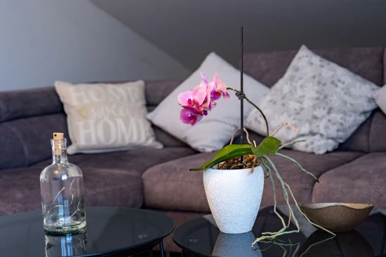 Apartmán Ostrov Rab - Barbat OS 12361 N5