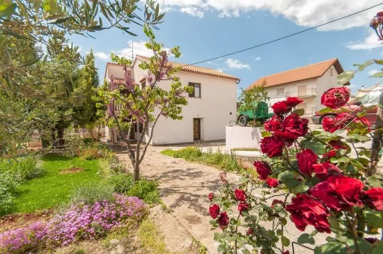 Apartmán Severní Dalmácie - Zadar DA 5001 N1