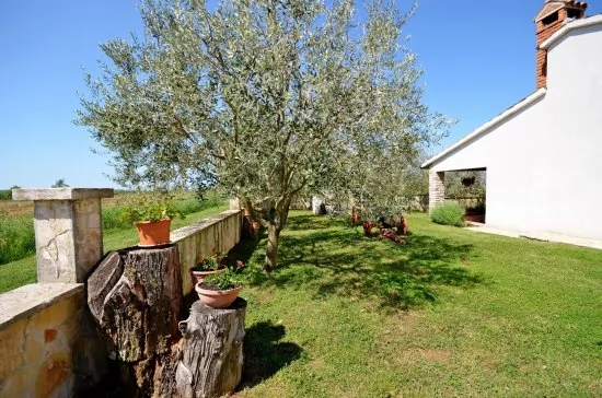 Apartmán Istrie - Ostatní IS 4000 N1