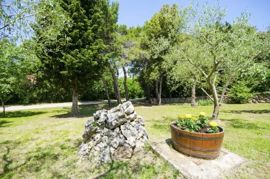 Apartmán Istrie - Banjole IS 1801 N1