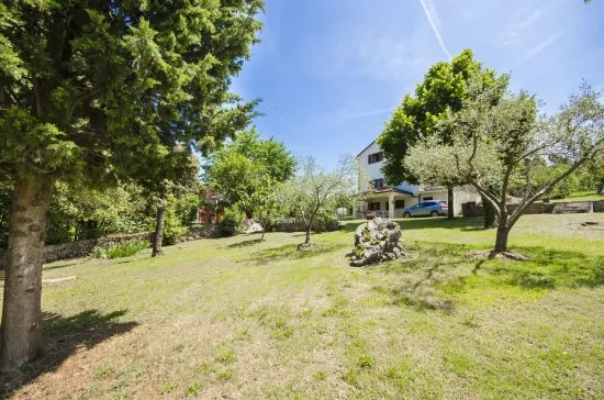 Apartmán Istrie - Banjole IS 1801 N1