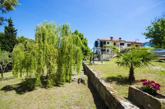 Apartmán Istrie - Banjole IS 1801 N2