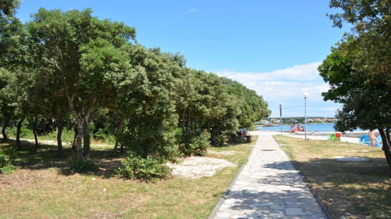 Apartmán Severní Dalmácie - Petrčane DA 5101 N1