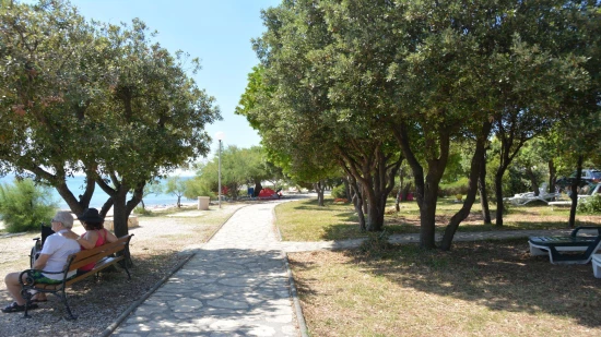 Apartmán Severní Dalmácie - Petrčane DA 5101 N1