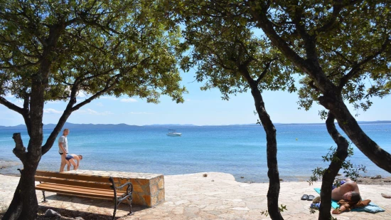 Apartmán Severní Dalmácie - Petrčane DA 5101 N1