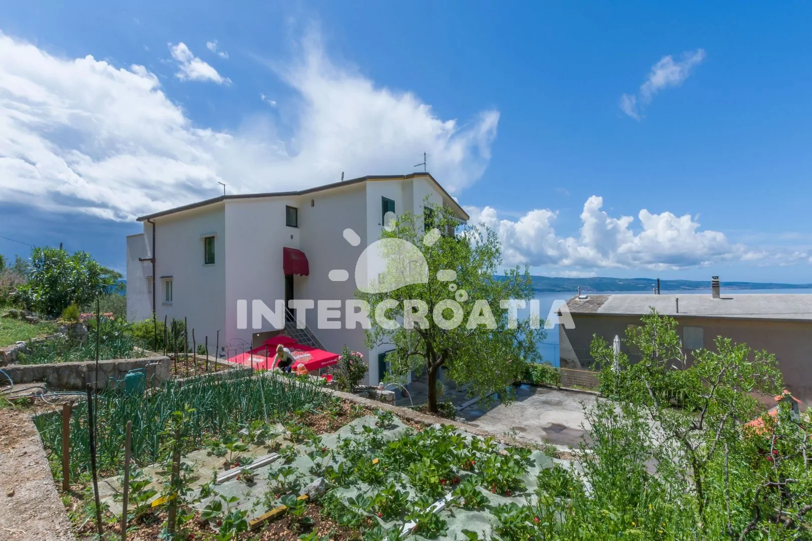 Apartmán Střední Dalmácie - Omiš DA 2701 N2